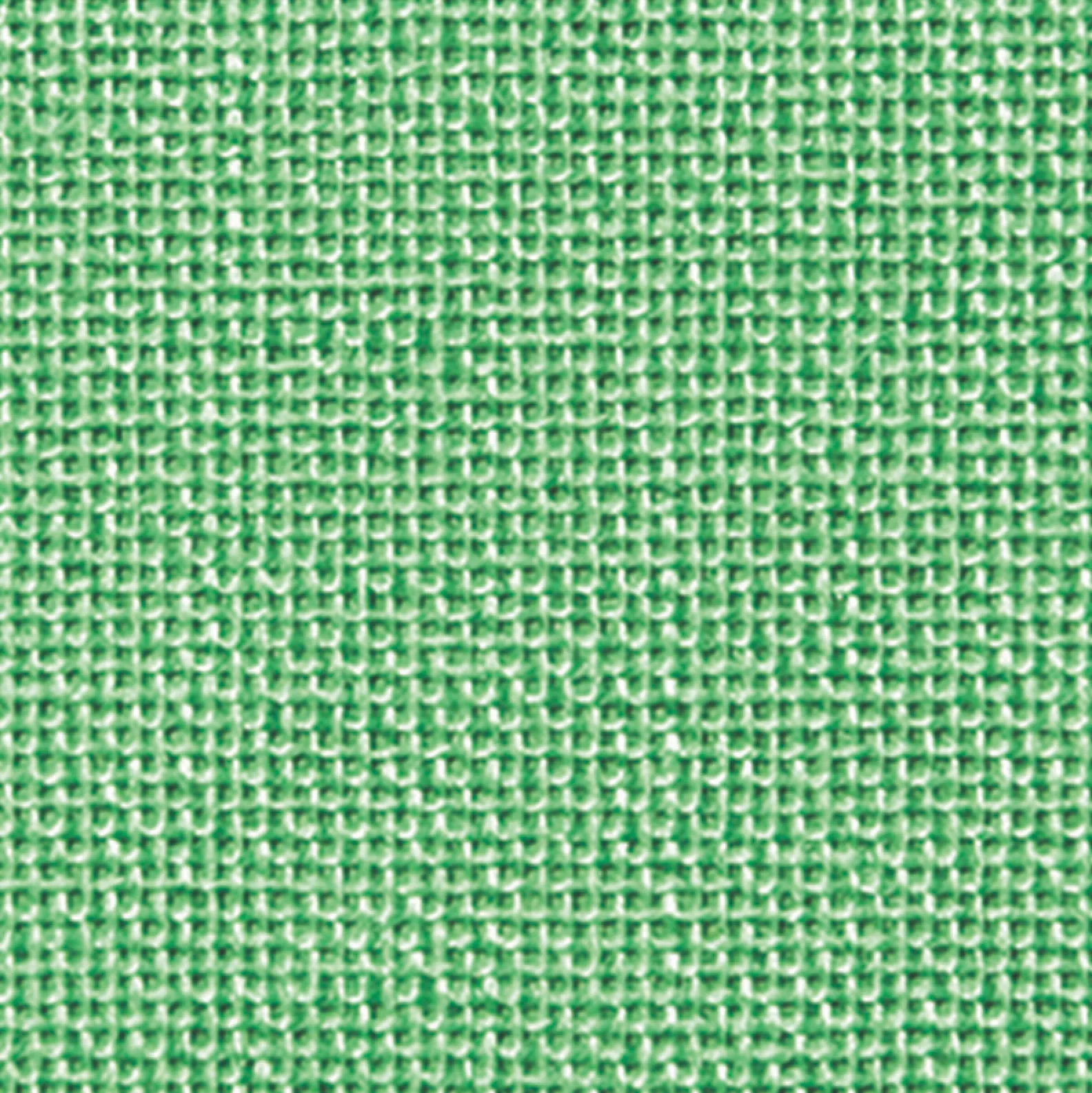 Lin 15